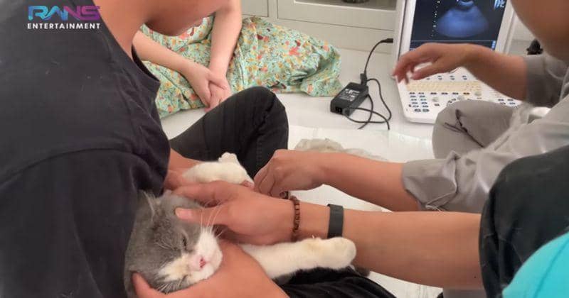 Youtube.com/Rans Entertainment